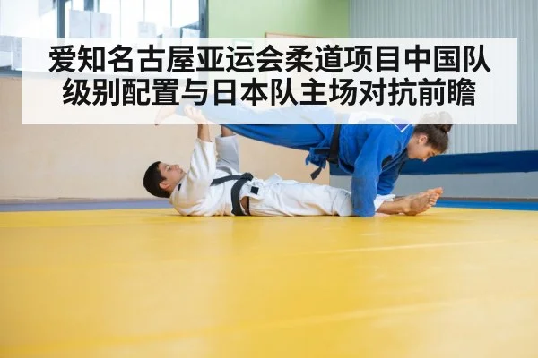 judo athletes grappling